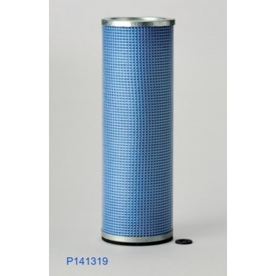 Filtro aria P141319